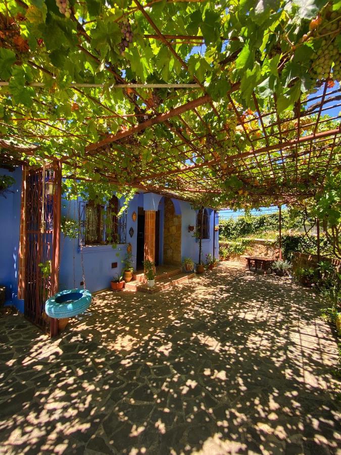 Villa Authentique Avec Vue Panoramique A 3 Km De Chefchaouen Exteriör bild