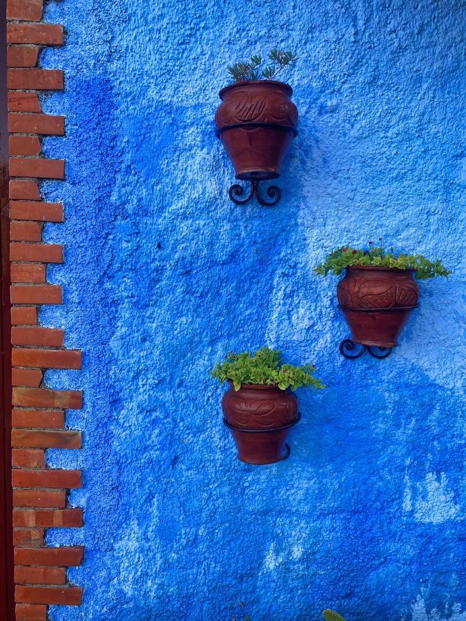 Villa Authentique Avec Vue Panoramique A 3 Km De Chefchaouen Exteriör bild